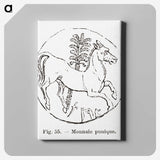 2-53_Les-Palmiers-Histoire-Iconographique_canvas