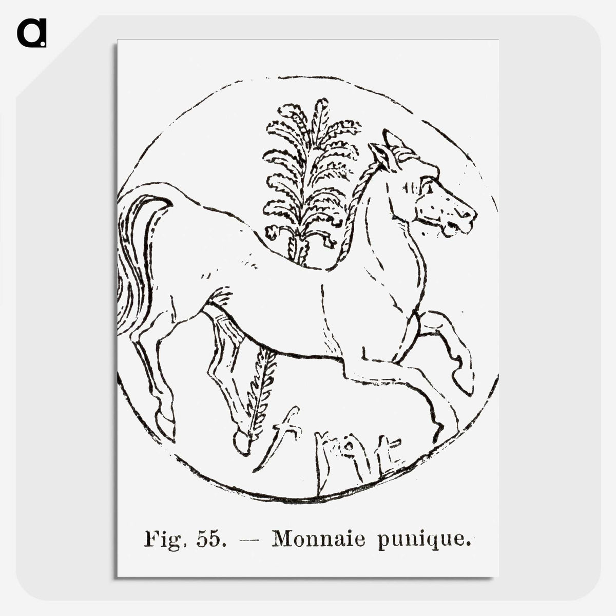 2-53_Les-Palmiers-Histoire-Iconographique_picture-crop