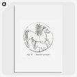 2-53_Les-Palmiers-Histoire-Iconographique_picture