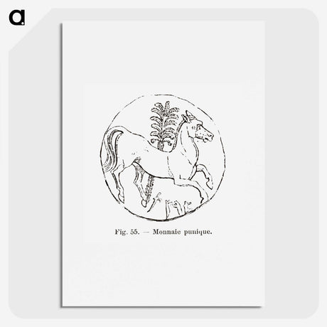2-53_Les-Palmiers-Histoire-Iconographique_picture