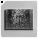 2-53_Leslie-Adkin_canvas
