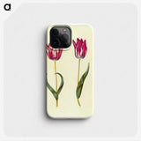 2-53_Maria-Sibylla-Merian_phone