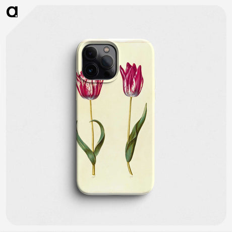 2-53_Maria-Sibylla-Merian_phone
