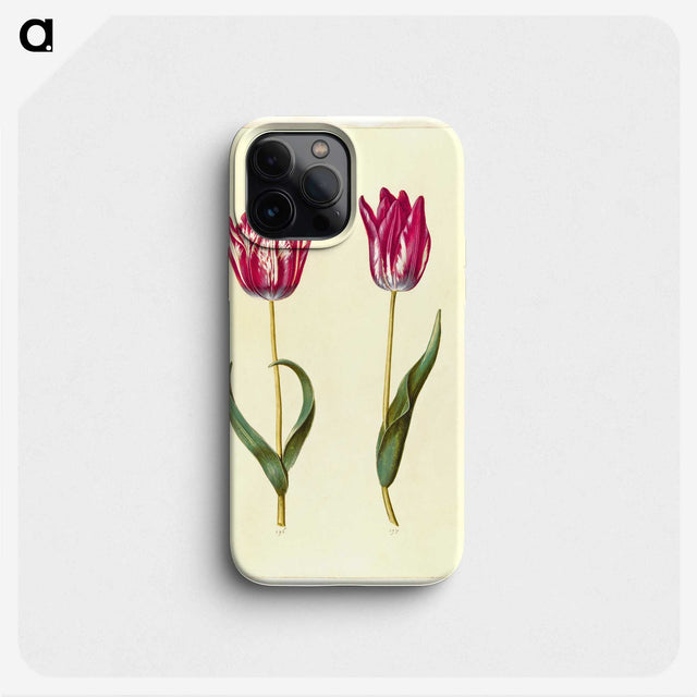 2-53_Maria-Sibylla-Merian_phone