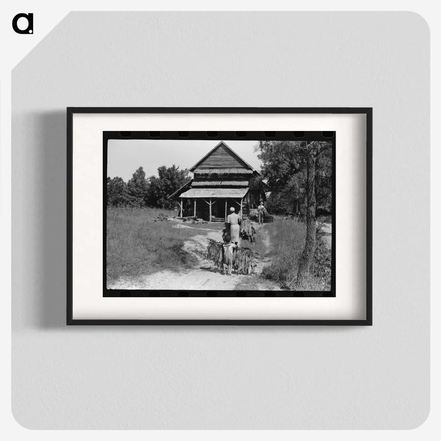 2-53_Marion-Post-Wolcott_blk