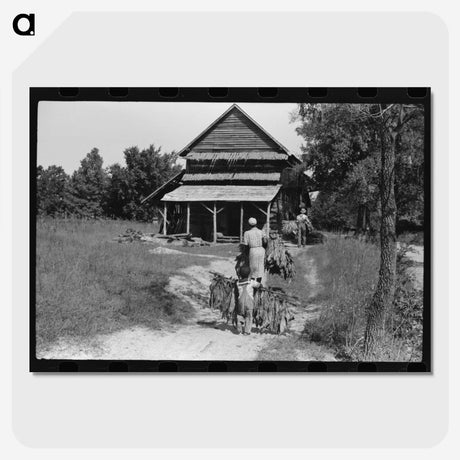 2-53_Marion-Post-Wolcott_picture-crop