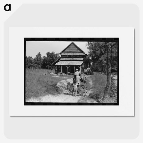 2-53_Marion-Post-Wolcott_picture