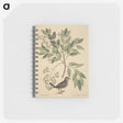 2-53_Mark-Catesby_memo