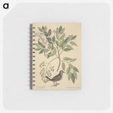 2-53_Mark-Catesby_memo
