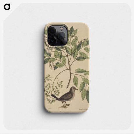 2-53_Mark-Catesby_phone