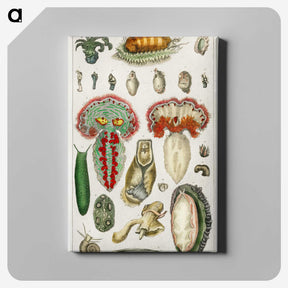 2-53_Medical-Botany_canvas