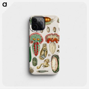 True Cinnamon Tree Illustration
 - 薬用植物学 Phone Case.