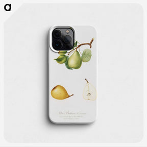 2-53_Pomona-Italiana_phone