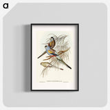 Golden-backed Parakeet
 - オーストラリアの鳥 Poster.