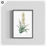2-53_The-Lilies_blk-crop