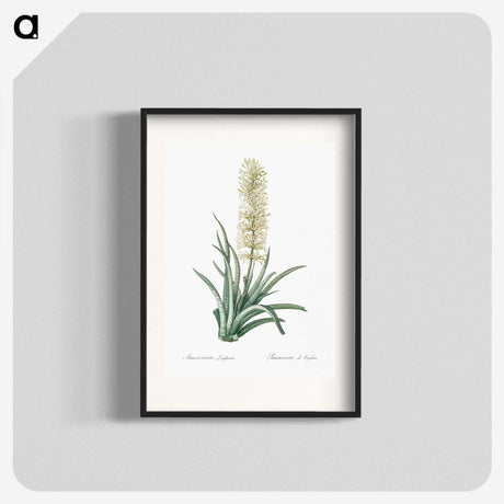 2-53_The-Lilies_blk