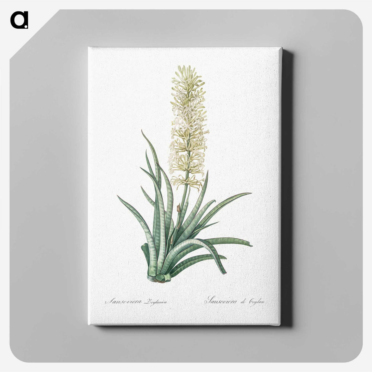 2-53_The-Lilies_canvas