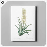 2-53_The-Lilies_canvas