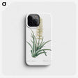 2-53_The-Lilies_phone