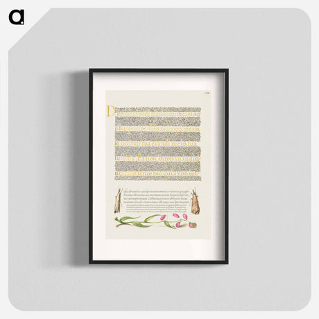 アートポスター-Grass Moths and Milkwort from Mira Calligraphiae Monumenta
 - 書道のお手本 Poster.