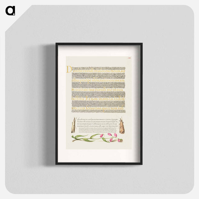 アートポスター-Grass Moths and Milkwort from Mira Calligraphiae Monumenta
 - 書道のお手本 Poster.