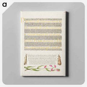 アートパネル-Grass Moths and Milkwort from Mira Calligraphiae Monumenta
 - 書道のお手本 Canvas.