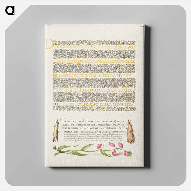アートパネル-Grass Moths and Milkwort from Mira Calligraphiae Monumenta
 - 書道のお手本 Canvas.