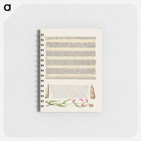 アートメモ帳-Grass Moths and Milkwort from Mira Calligraphiae Monumenta
 - 書道のお手本 Memo.