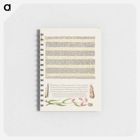アートメモ帳-Grass Moths and Milkwort from Mira Calligraphiae Monumenta
 - 書道のお手本 Memo.