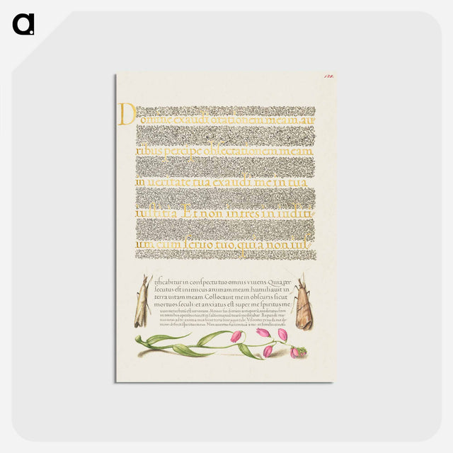 アートポストカード-Grass Moths and Milkwort from Mira Calligraphiae Monumenta
 - 書道のお手本 Postcard.