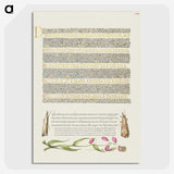 2-53_The-Model-Book-of-Calligraphy_picture-crop