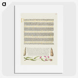 2-53_The-Model-Book-of-Calligraphy_picture