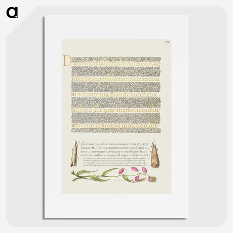 2-53_The-Model-Book-of-Calligraphy_picture
