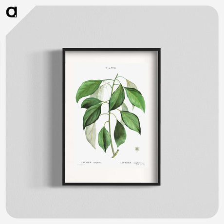 2-53_Treatise-on-Trees-and-Shrubs_blk