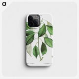 2-53_Treatise-on-Trees-and-Shrubs_phone