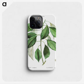 2-53_Treatise-on-Trees-and-Shrubs_phone