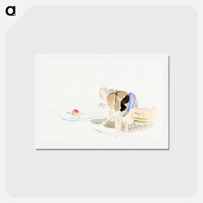 アートポストカード-Album of Sketches
 - 歌川 広重 Postcard.