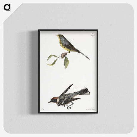 2-53_Zoology-of-New-York_blk-crop