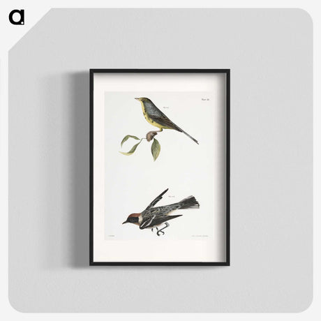 2-53_Zoology-of-New-York_blk