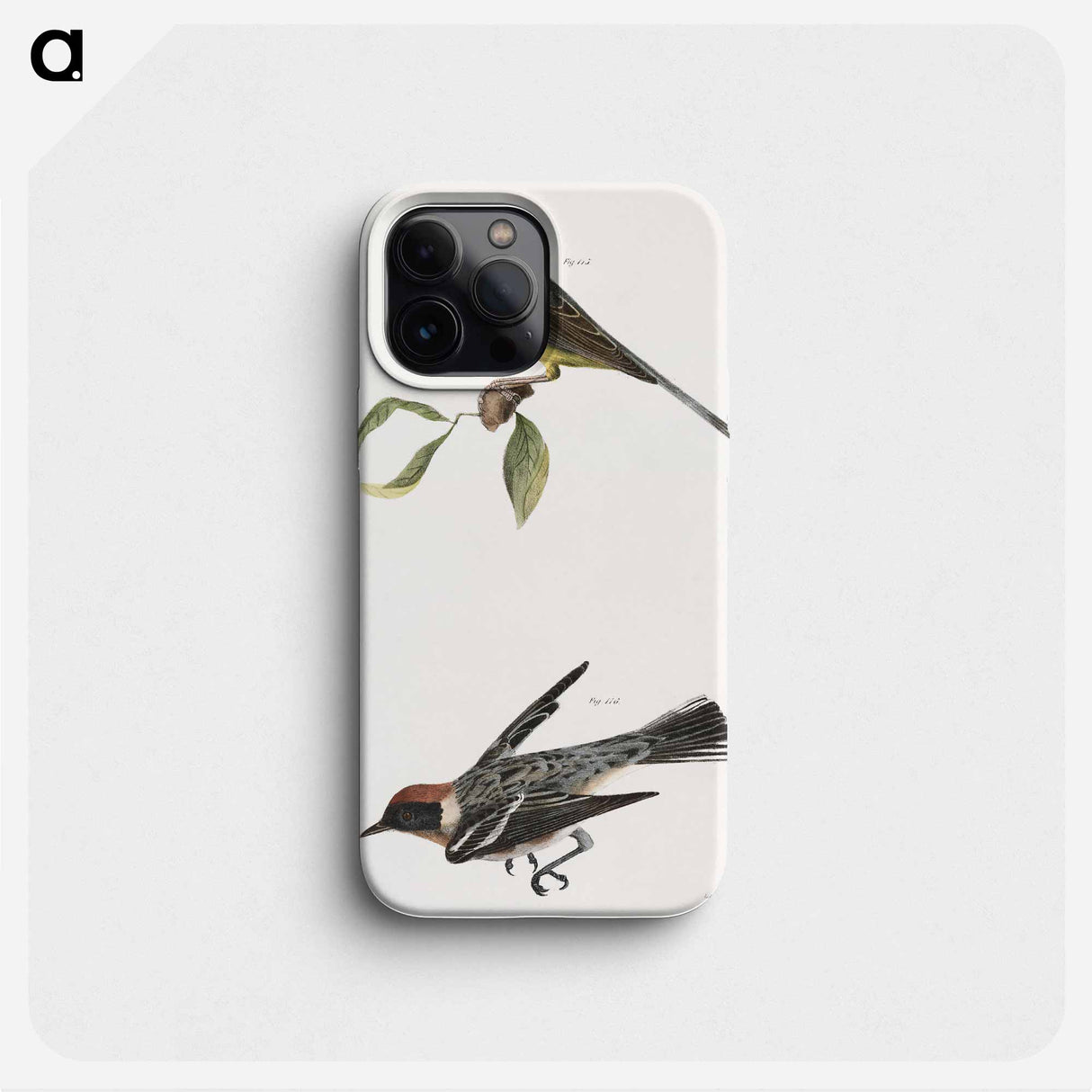 The Spotted Canada Warbler (Sylvicola pardalina)  The Bay-breasted Warbler (Sylvicola castanea) - ニューヨークの動物学 Phone Case.