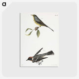 2-53_Zoology-of-New-York_postcard