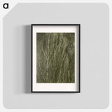 Poplars, Lake George - アルフレッド スティーグリッツ Poster.