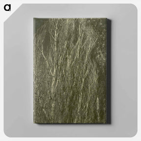 アートパネル-Poplars, Lake George - アルフレッド スティーグリッツ Canvas.