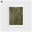 アートポストカード-Poplars, Lake George - アルフレッド スティーグリッツ Postcard.