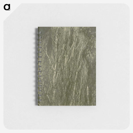2-54_Alfred-Stieglitz_memo