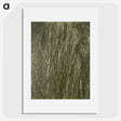 2-54_Alfred-Stieglitz_picture