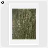 2-54_Alfred-Stieglitz_picture