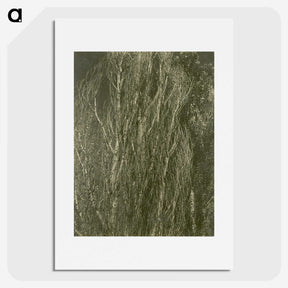 2-54_Alfred-Stieglitz_picture