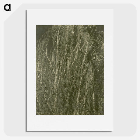 2-54_Alfred-Stieglitz_picture