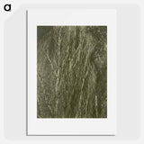 Poplars, Lake George - アルフレッド スティーグリッツ Poster.